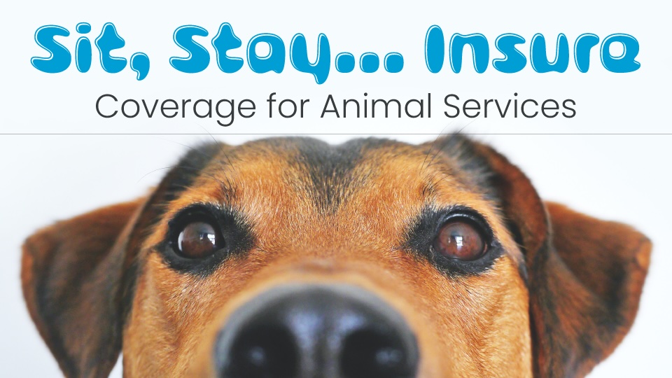 Sit, Stay... Insure: Coverage for Animal Services